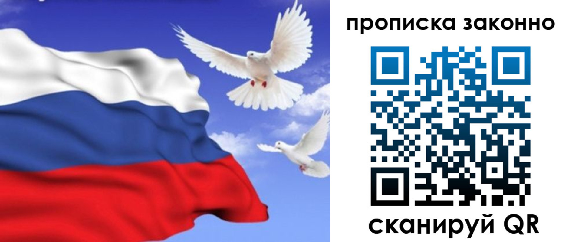 прописка в Светлограде