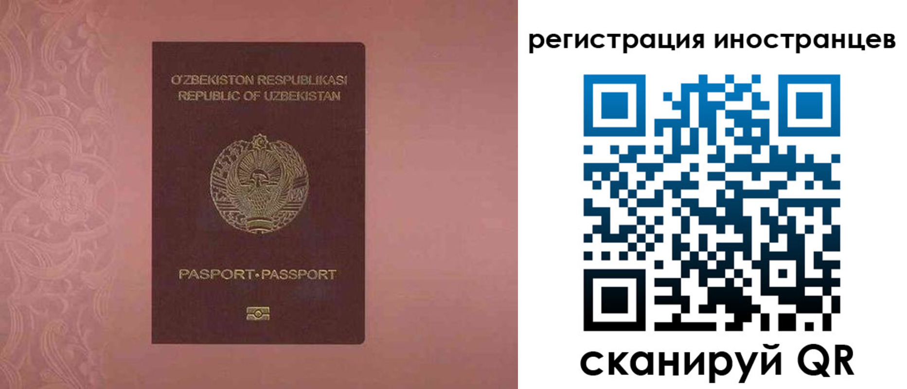 временная регистрация госуслуги в Светлограде